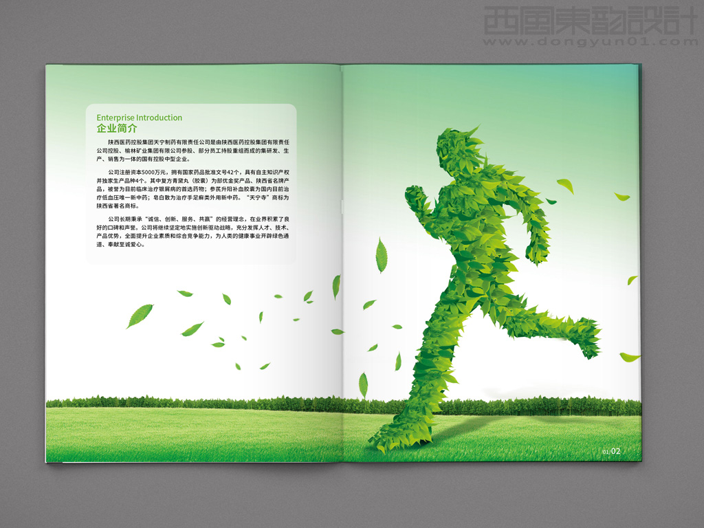 陜西醫(yī)藥控股集團(tuán)天寧制藥有限責(zé)任公司系列藥品包裝設(shè)計(jì)之產(chǎn)品手冊(cè)內(nèi)頁設(shè)計(jì)