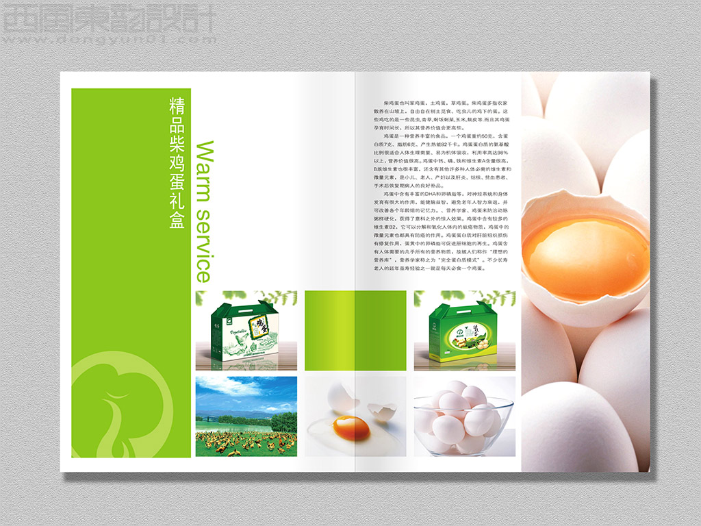 北京金鳳祥云商貿(mào)公司農(nóng)產(chǎn)品畫冊設(shè)計(jì)之精品柴雞蛋內(nèi)頁設(shè)計(jì) 北京金鳳祥云商貿(mào)公司農(nóng)產(chǎn)品畫冊設(shè)計(jì)之精品柴雞蛋內(nèi)頁設(shè)計(jì)
