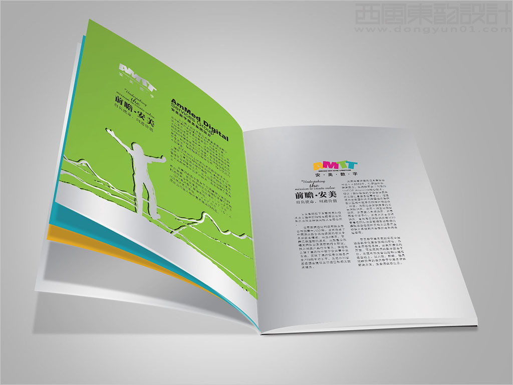 安美數(shù)字服務(wù)集團(tuán)有限公司畫冊(cè)設(shè)計(jì)之前瞻安美內(nèi)頁(yè)設(shè)計(jì)