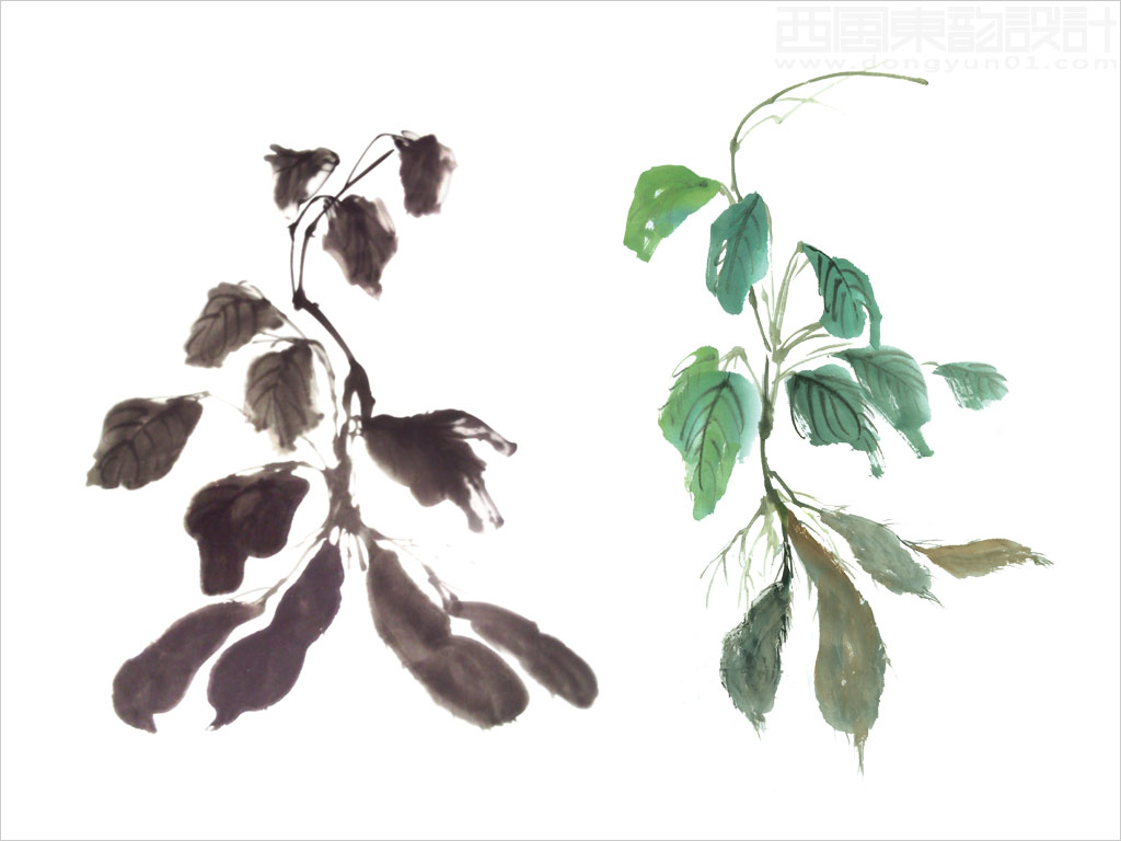 上海越元實(shí)業(yè)有限公司Shoptea何首烏保健品包裝設(shè)計(jì)核心元素------何首烏國(guó)畫(huà)圖