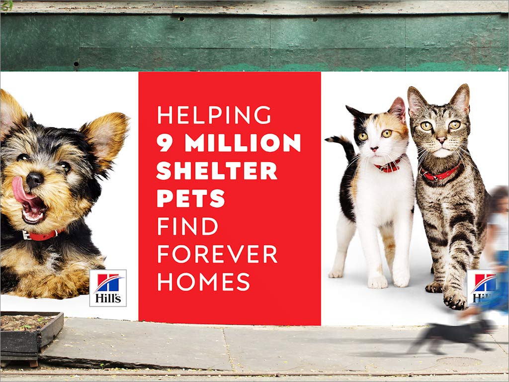Hill's貓糧狗糧寵物食品海報設(shè)計(jì)