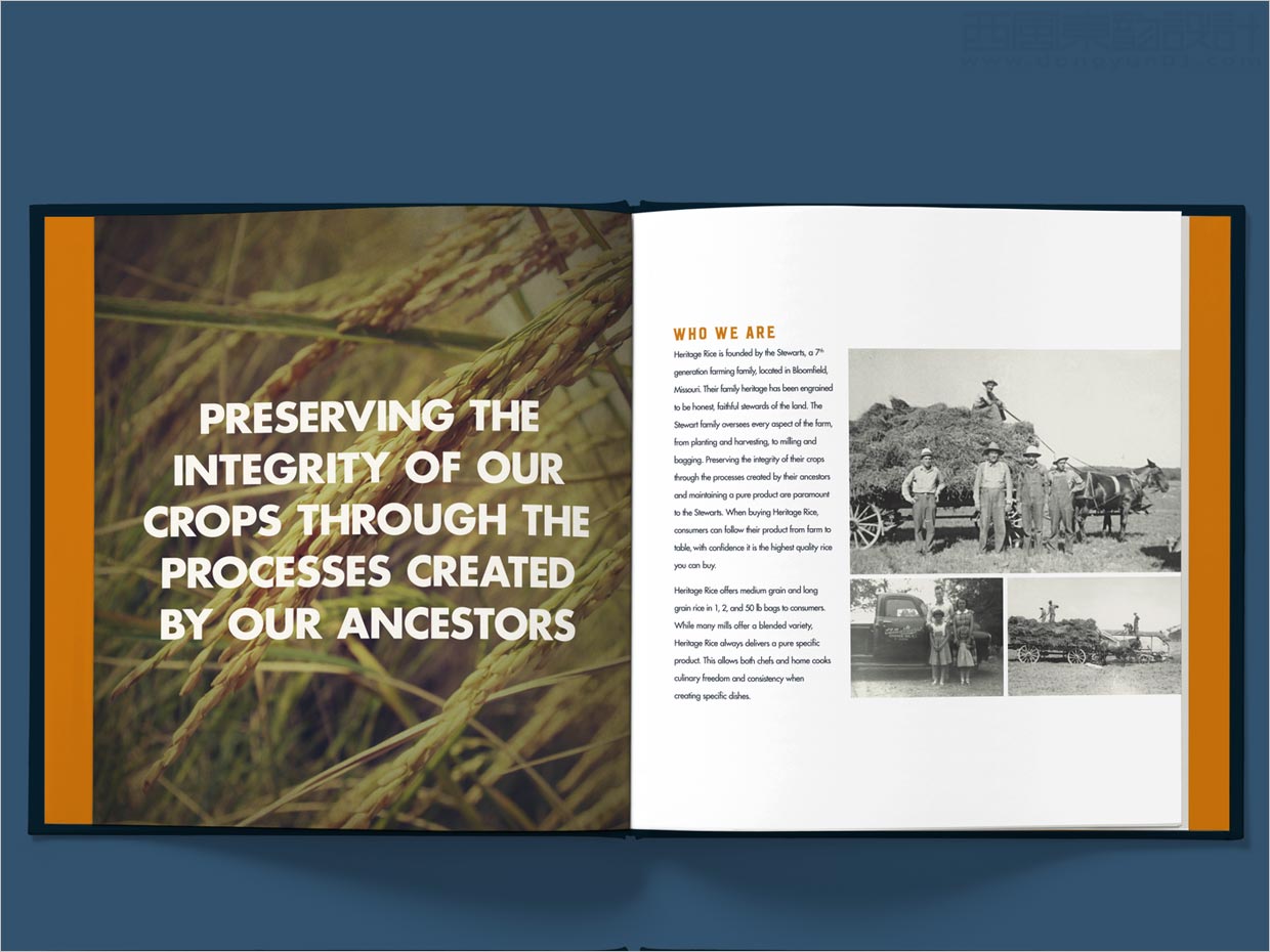 美國Heritage大米品牌手冊內(nèi)頁設計