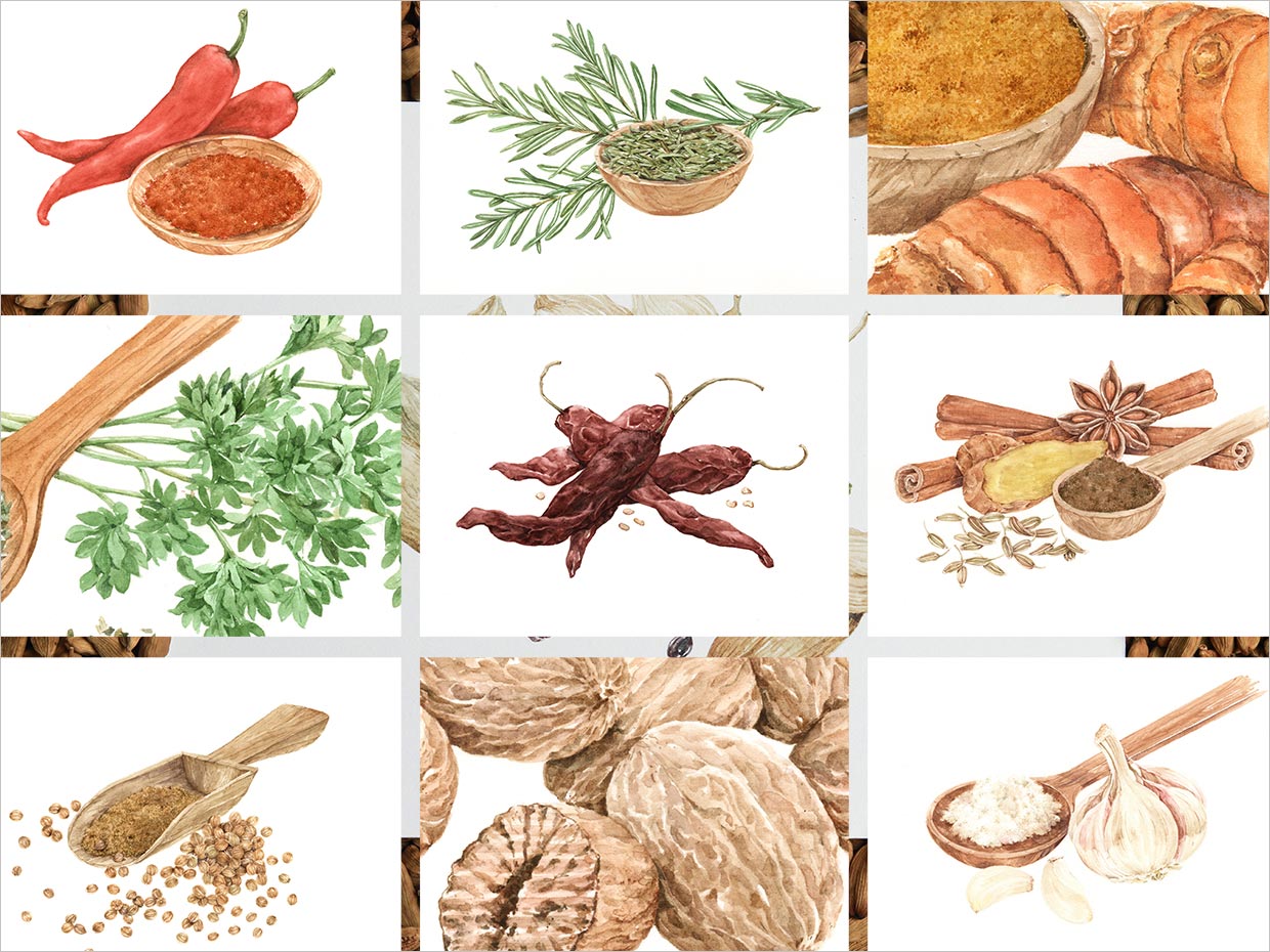 印度尼西亞Koepoe Koepoe調(diào)味料瓶簽包裝設(shè)計(jì)之插畫(huà)設(shè)計(jì)