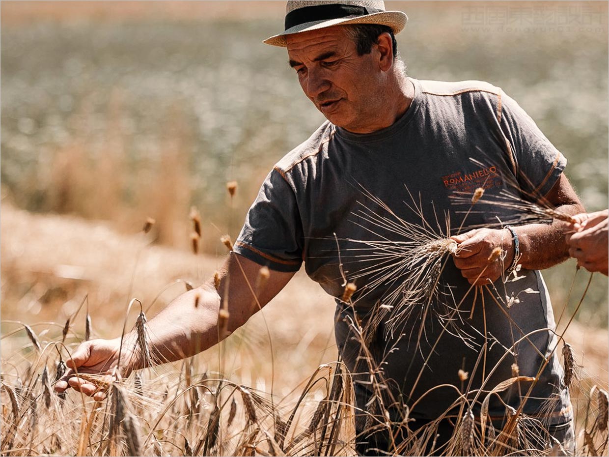 意大利谷物豆類面粉農(nóng)產(chǎn)品包裝設計之實物照片