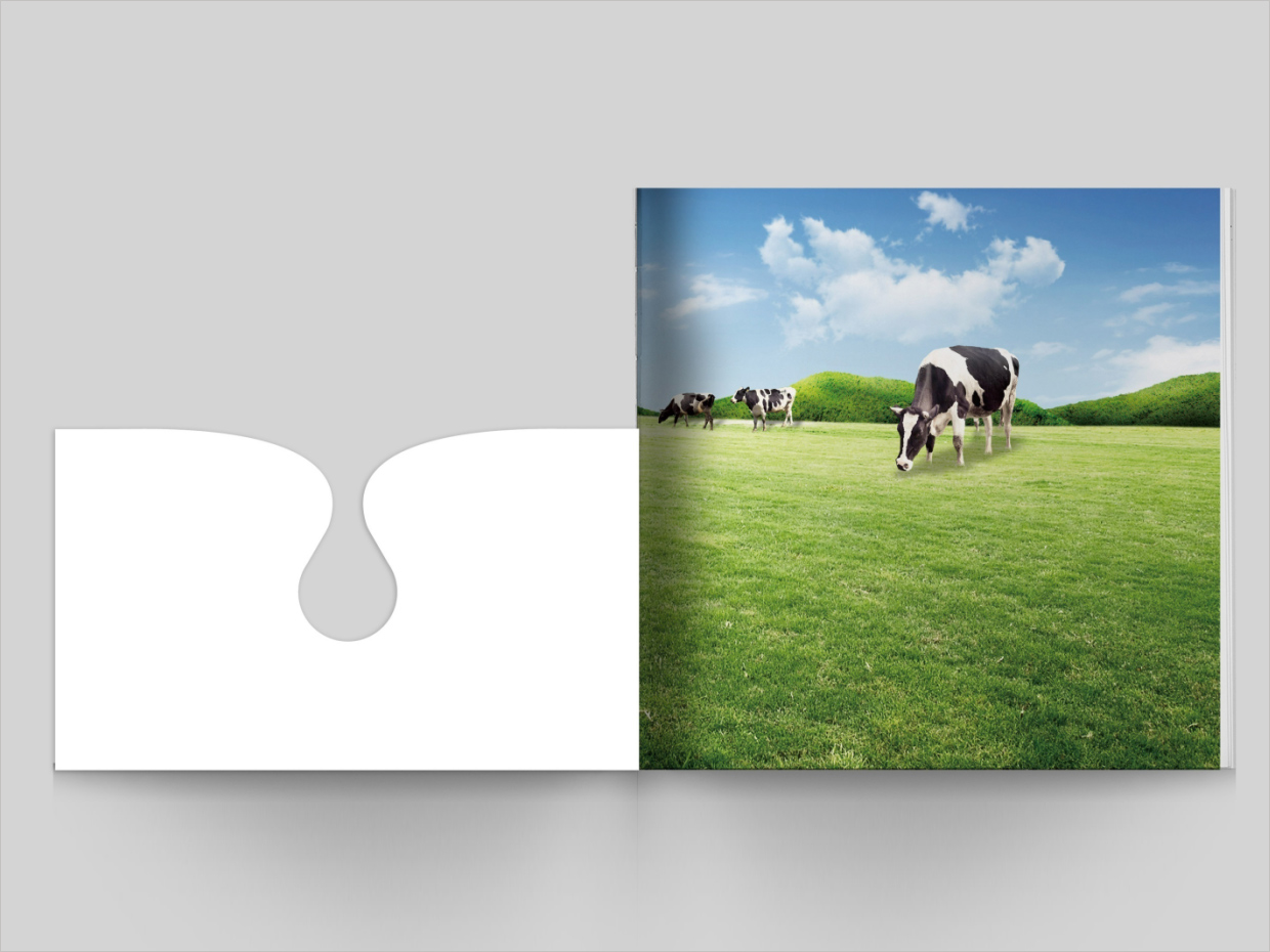 山東得益乳業(yè)股份有限公司畫(huà)冊(cè)設(shè)計(jì)之封面工藝展示 山東得益乳業(yè)股份有限公司畫(huà)冊(cè)設(shè)計(jì)之封面工藝展示