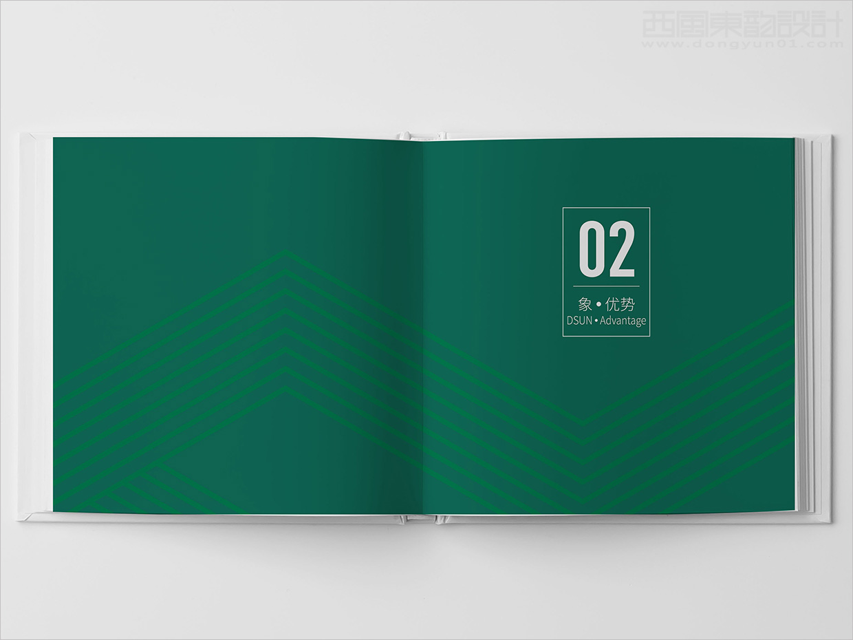 山東日照大象房屋建設(shè)公司畫冊(cè)設(shè)計(jì)之優(yōu)勢(shì)版塊形象頁設(shè)計(jì)