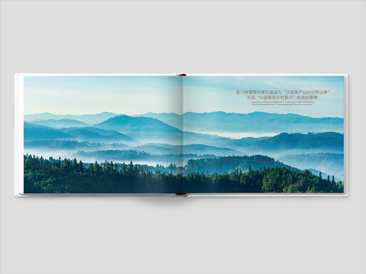 理想華萊科技集團(tuán)公司畫冊設(shè)計(jì)之扉頁設(shè)計(jì)