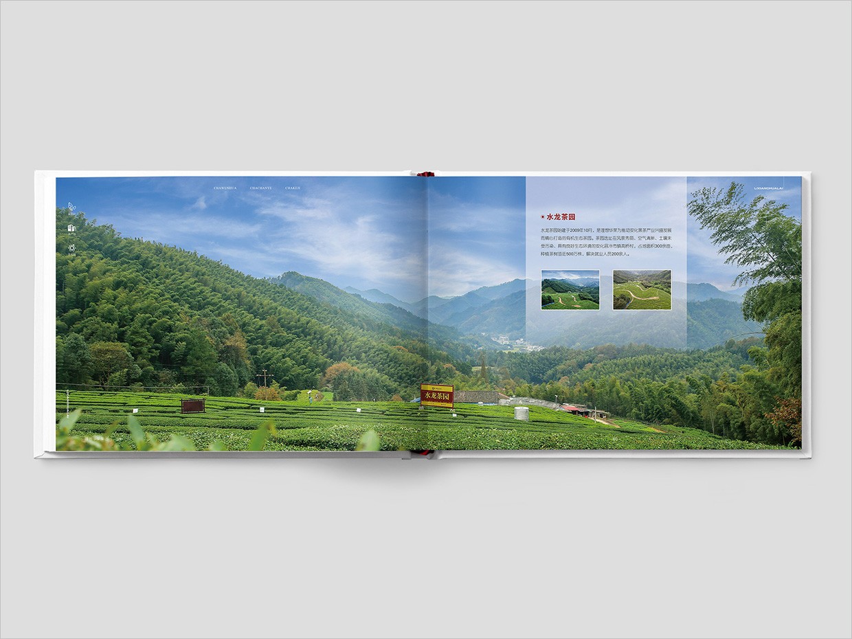 理想華萊科技集團(tuán)公司畫冊設(shè)計(jì)之水龍茶園頁面設(shè)計(jì)