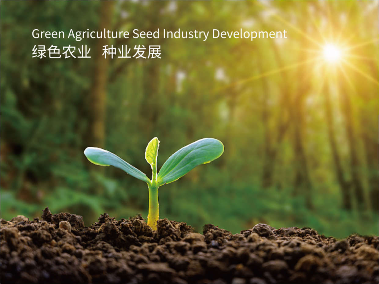 北京先農(nóng)投資管理公司logo設(shè)計創(chuàng)意理念說明之禾苗幼芽